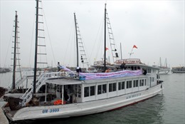 445/451 tàu du lịch trên Vịnh Hạ Long đã được sơn trắng 